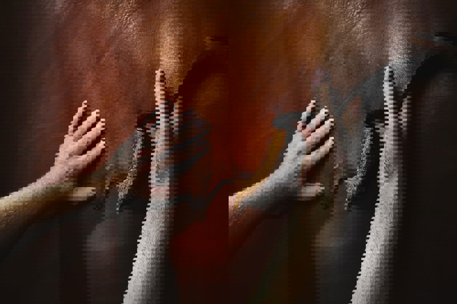 Två händer håller i och lyfter en flik av brunt läder, så att den mjuka undersidan syns. Närbilden visar materialets struktur och yta i detalj.