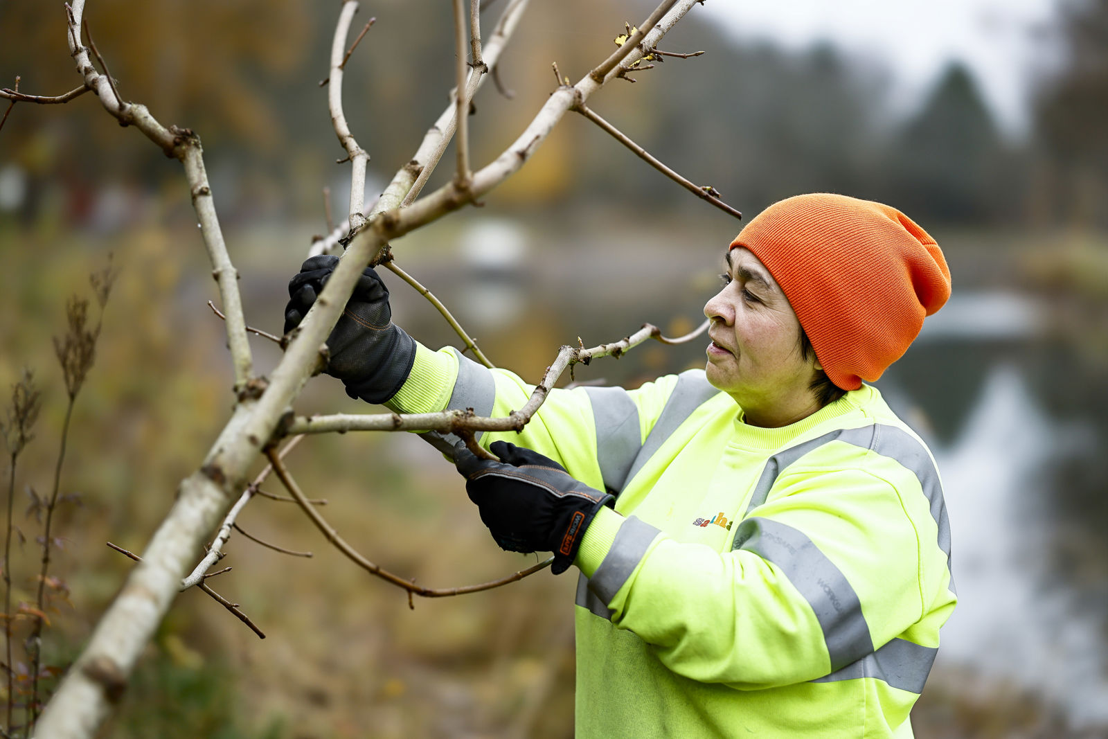En samhallsanställd i gul jacka planterar ett träd.