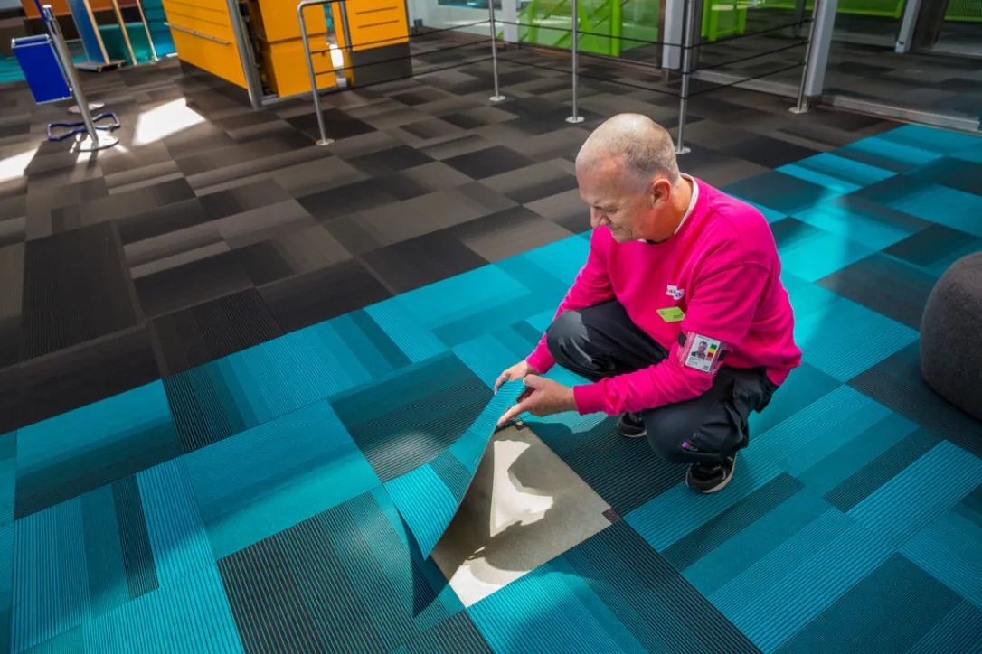 En man i rosa tröja och namnbricka sitter på huk i en modern kontorsmiljö och lyfter upp en hörna av en turkos golvmatta för att visa underlaget.